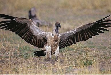 挥别苏生赛季，《命运2》新赛季展望